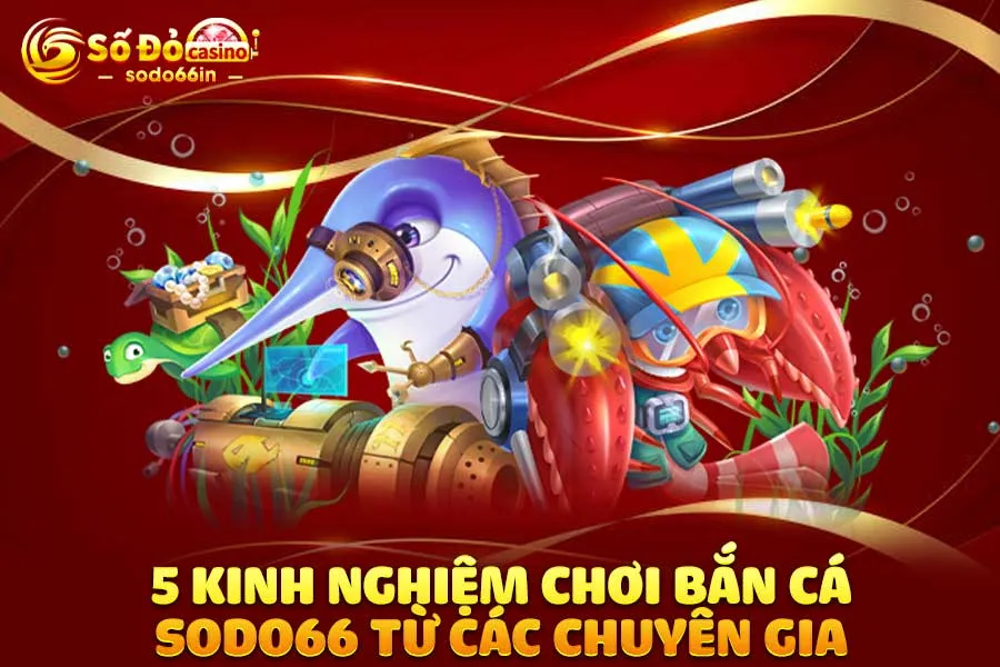 5-kinh-nghiệm chơi bắn cá sodo66-từ-các-chuyên-gia